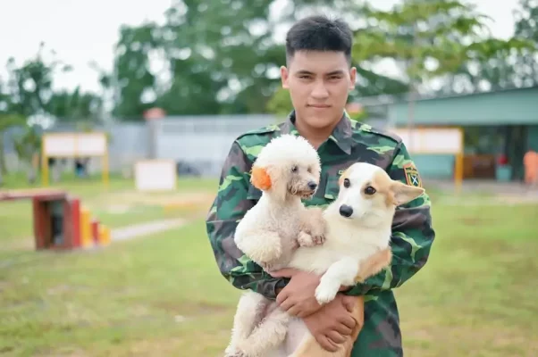 dịch vụ chăm sóc nuôi