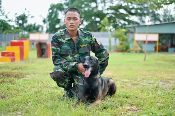 huấn luyện chó Thiên Khuyển