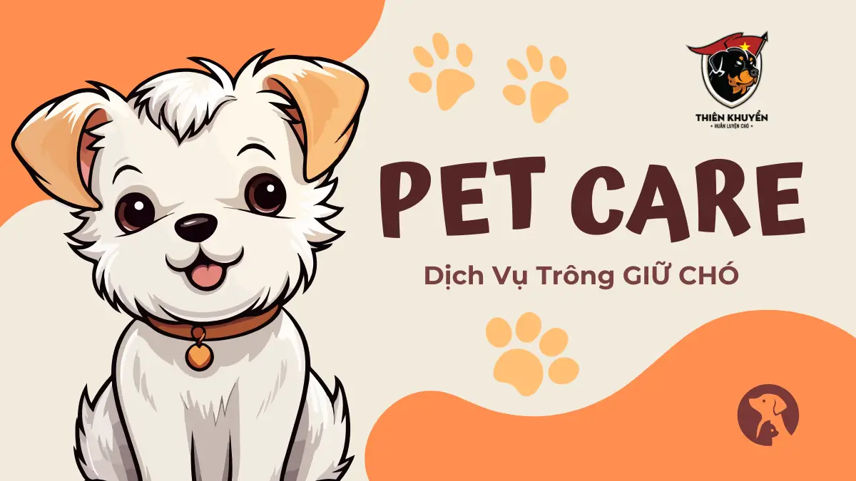 giá trông giữ chó tphcm